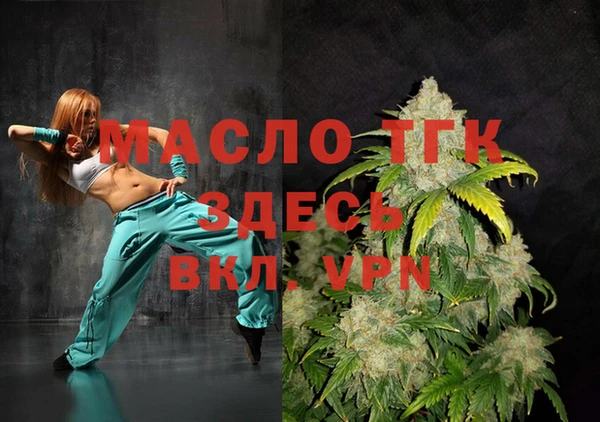 сатива Новозыбков