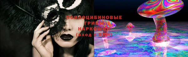сатива Новозыбков