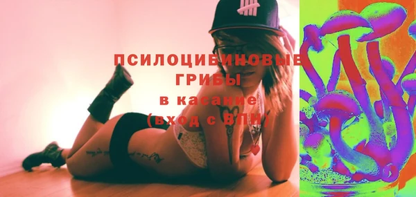 сатива Новозыбков