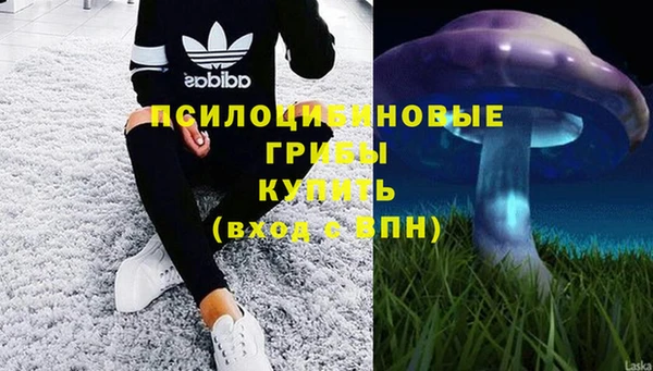 сатива Нягань