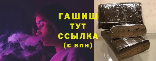 сатива Новозыбков