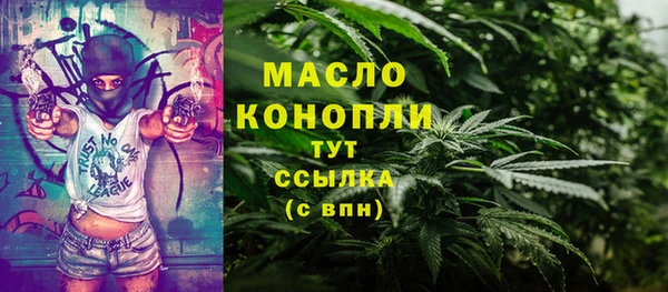 гидра Бикин