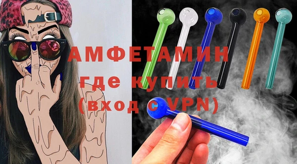 сатива Новозыбков