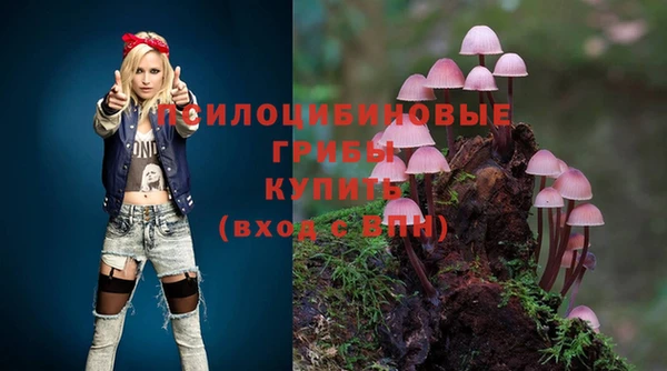 синтетический гашиш Новодвинск