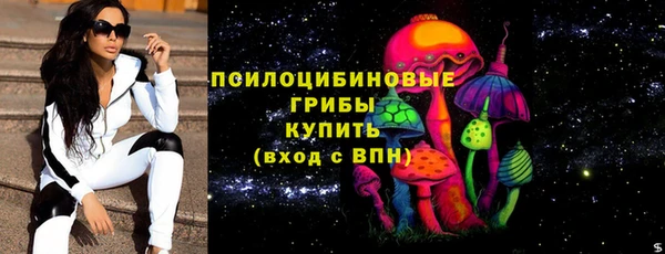 сатива Новозыбков