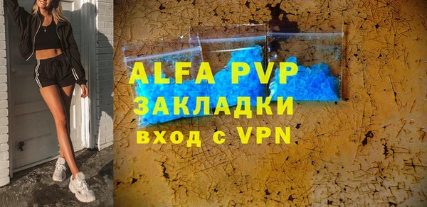 сатива Новозыбков