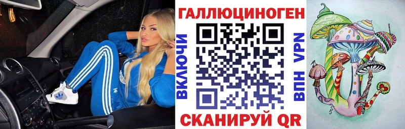 Псилоцибиновые грибы Psilocybe  МЕГА   Поронайск 